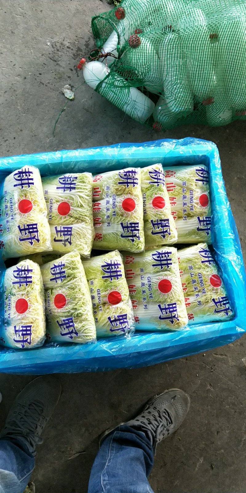 娃娃菜一斤半以上