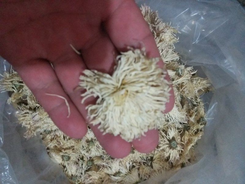 香菊瓶装