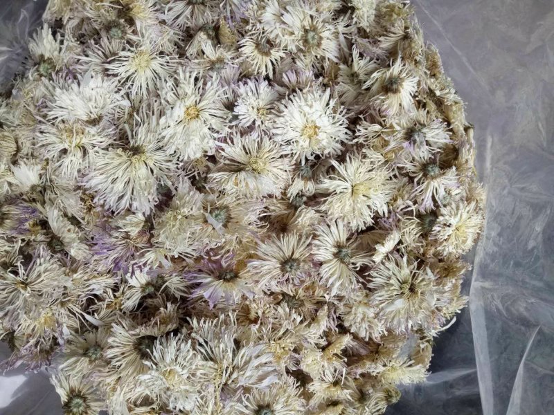 香菊瓶装