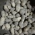白皮白心的226个头大薯型好颜色好！