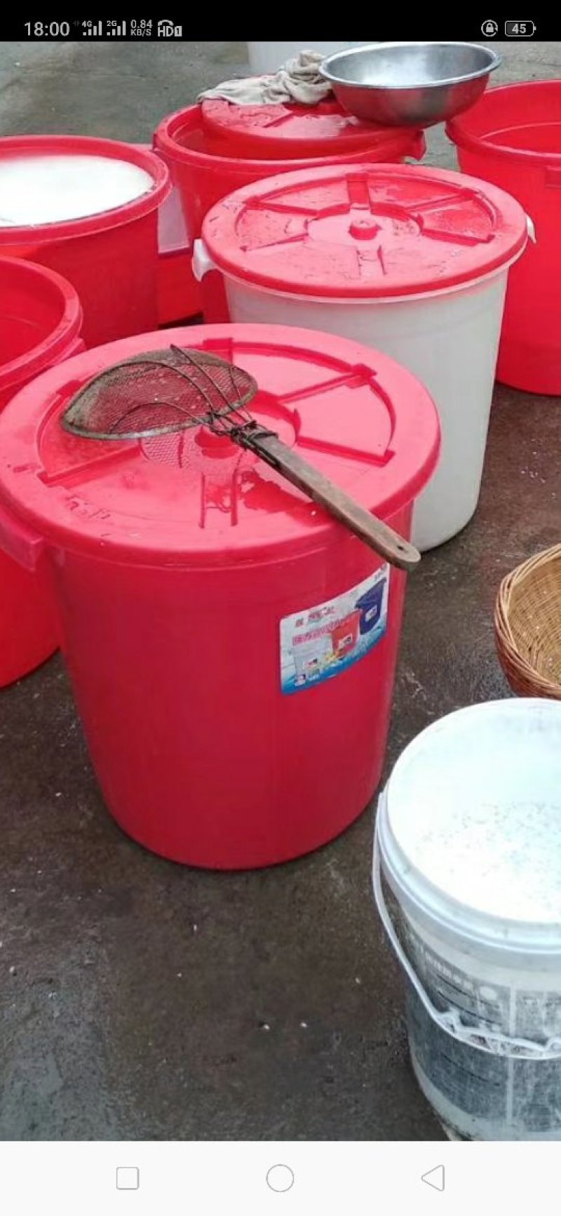 房县黄酒