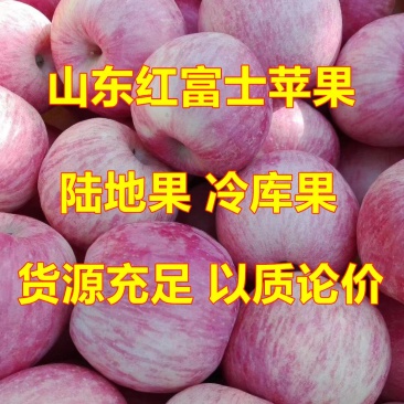【优选】红富士苹果批发山东临沂产区冰糖心一手货源
