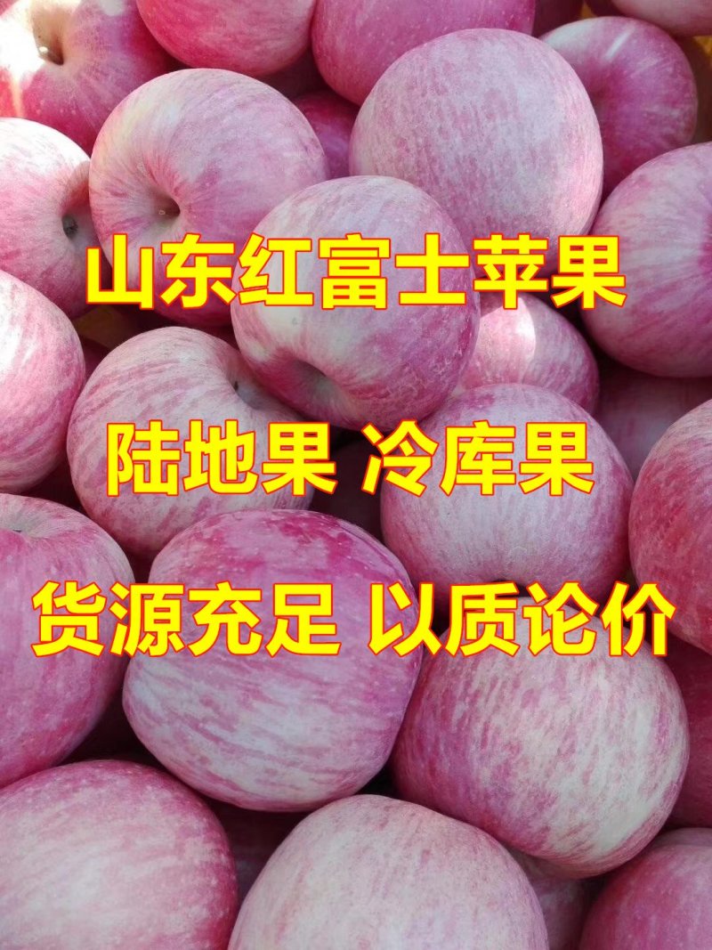 【优选】红富士苹果批发山东临沂产区冰糖心一手货源