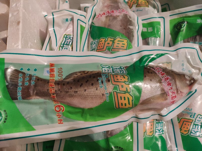 鲜冻海鲈鱼七星鲈鱼真空包装无冰衣从大海到餐桌只需48小时