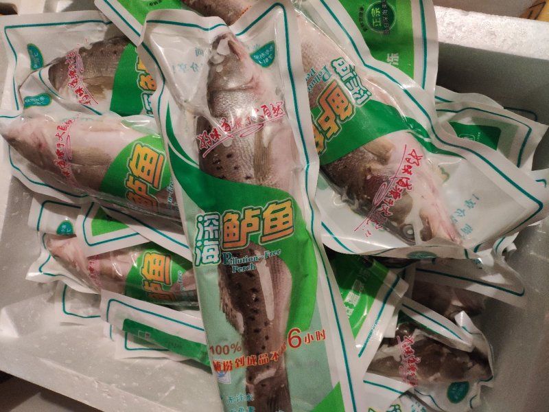 鲜冻海鲈鱼七星鲈鱼真空包装无冰衣从大海到餐桌只需48小时