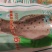 鲜冻海鲈鱼七星鲈鱼真空包装无冰衣从大海到餐桌只需48小时