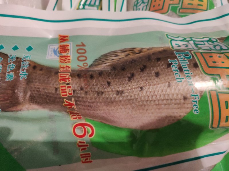 鲜冻海鲈鱼七星鲈鱼真空包装无冰衣从大海到餐桌只需48小时