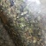 青干辣椒