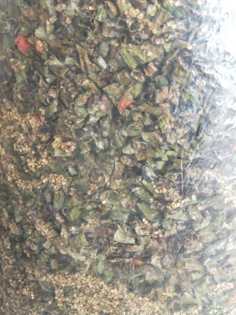 青干辣椒