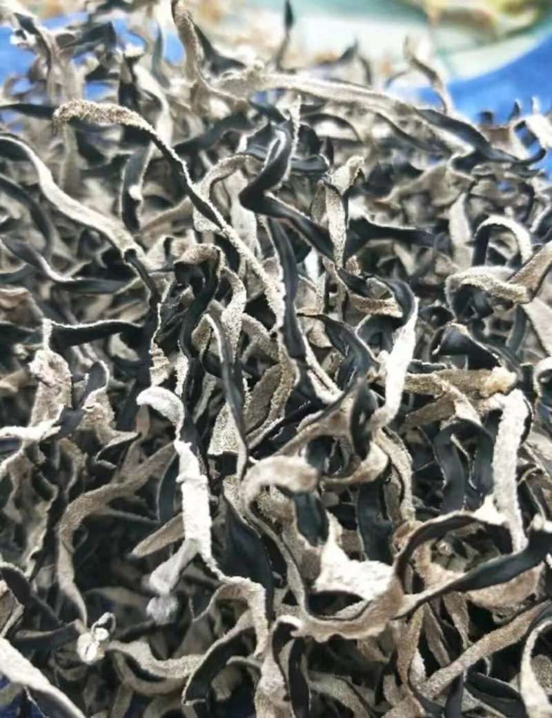 木耳丝毛木耳毛木耳丝黑木耳产地直发！全国包邮！