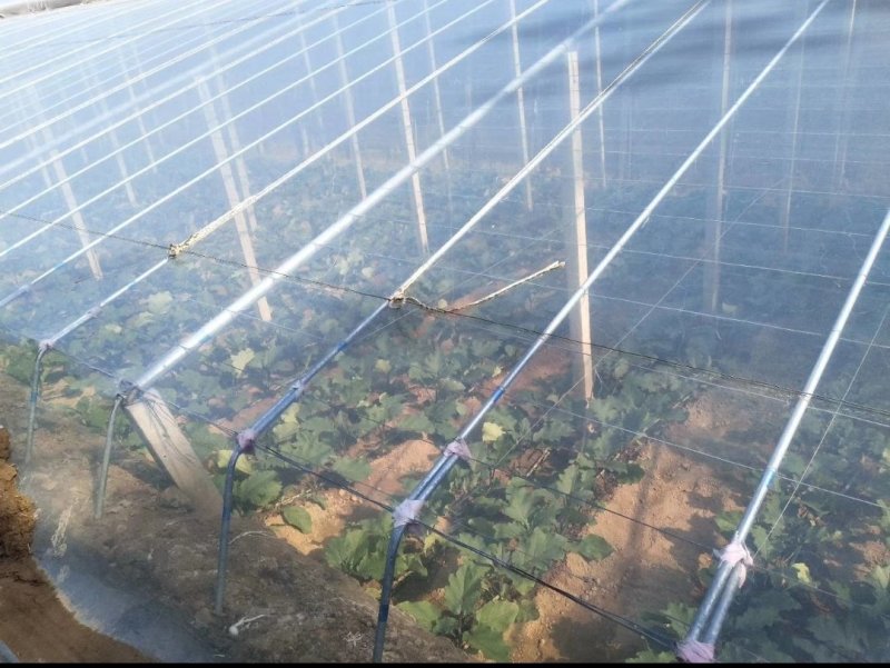 PO膜大棚膜水果大棚膜温室大棚膜流滴消雾抗老化