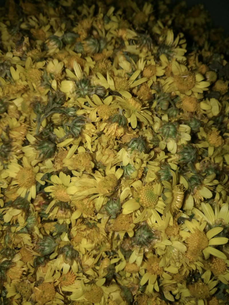 野菊花