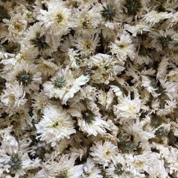 出售各种菊花茶