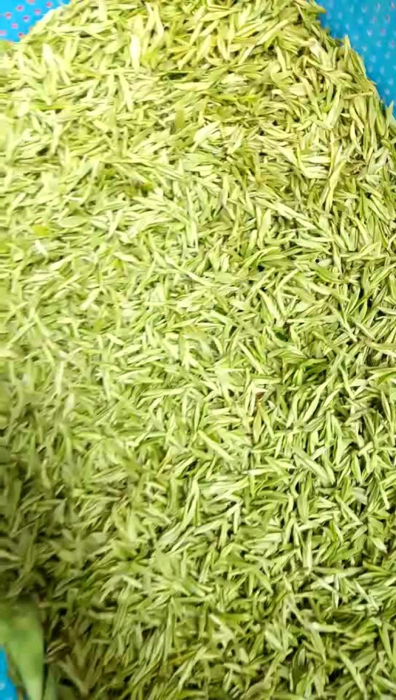 出售各种菊花茶