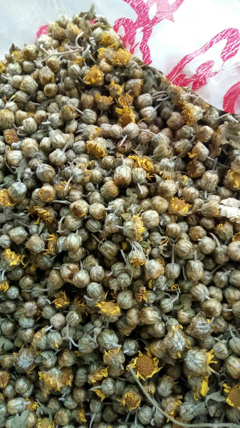 出售各种菊花茶