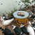 流动水放养番鸭