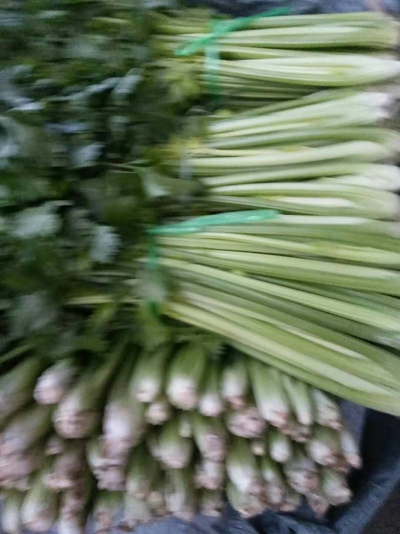 芹菜