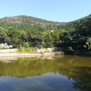 1000亩山地转让