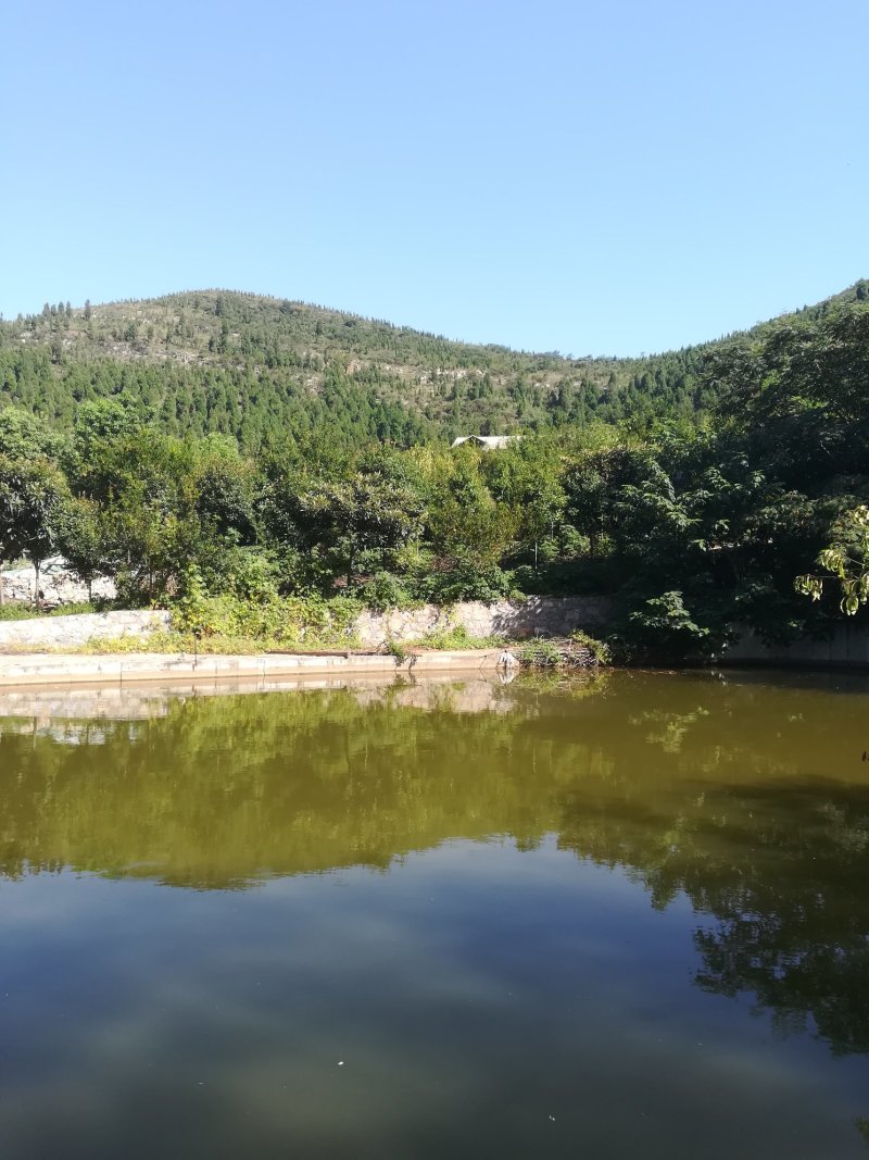 1000亩山地转让