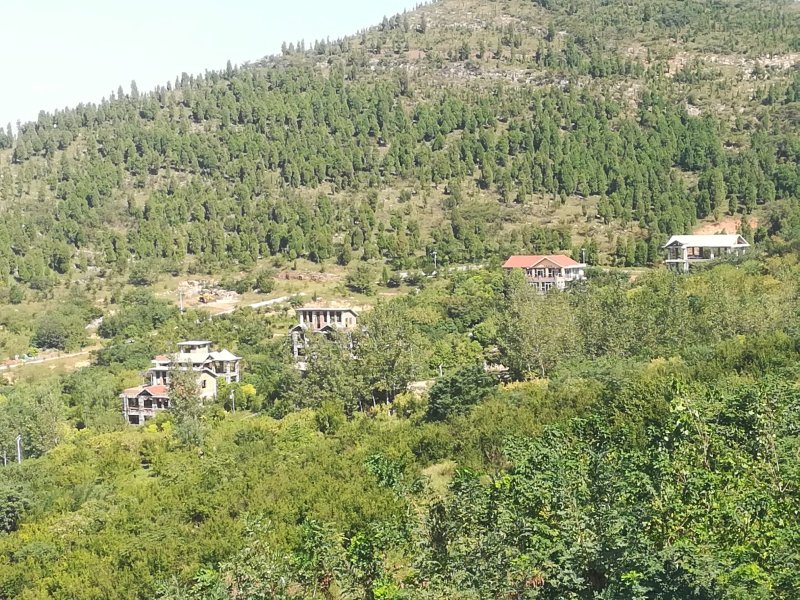 1000亩山地转让