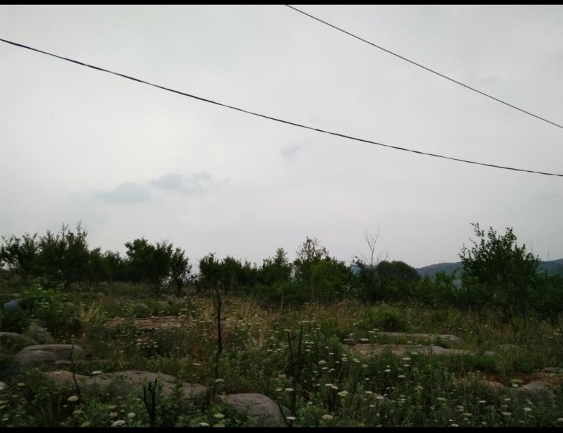 安徽淮北700亩山地转让
