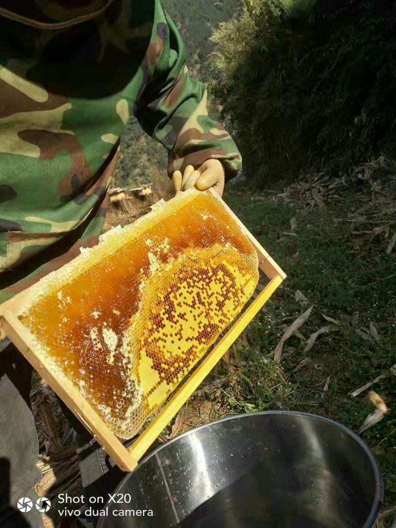 彝乡蜂蜜，