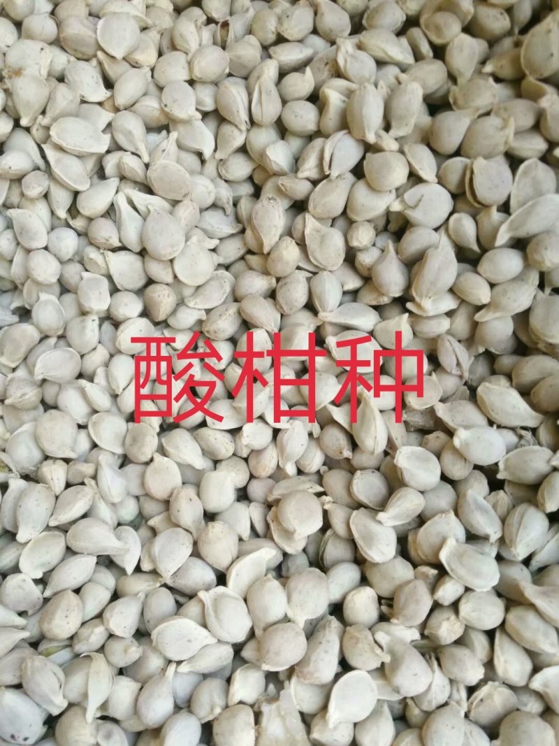 酸柑种子，酸桔种子，广西酸柑种子