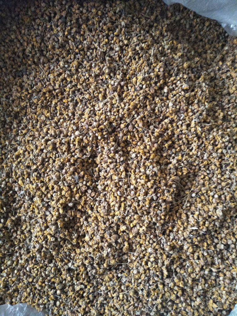 野菊花蛇床子各种质量