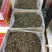 焦糖，核桃，红枣，蜜汁，4种口味，箱装新货，10箱起发