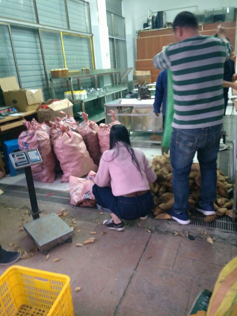 批发冬笋