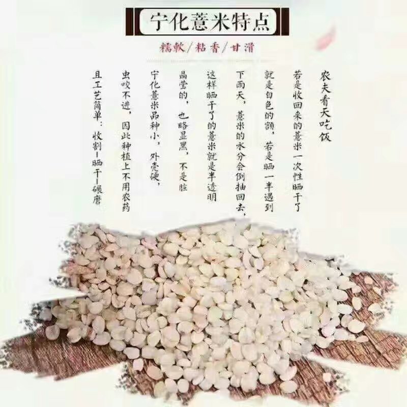 宁化土特产，糯薏米👍👍👍
