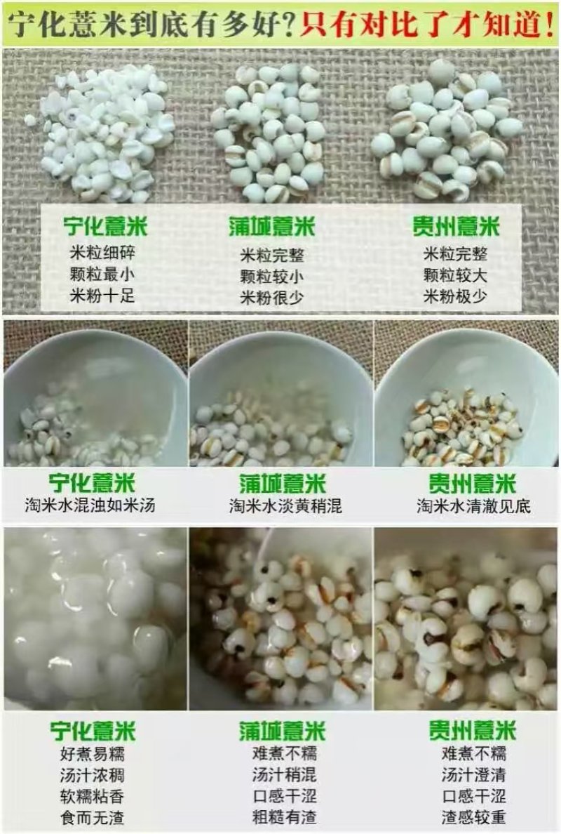 宁化土特产，糯薏米👍👍👍