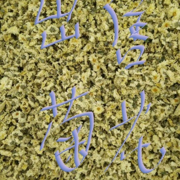 怀菊花散装