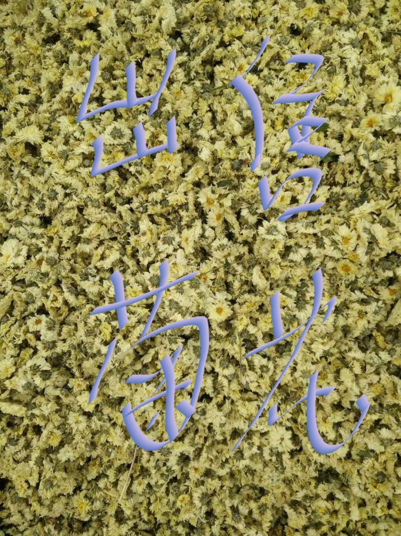 怀菊花散装