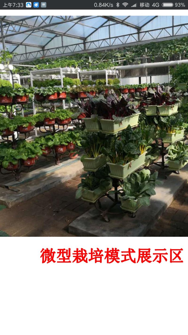 大棚设计
