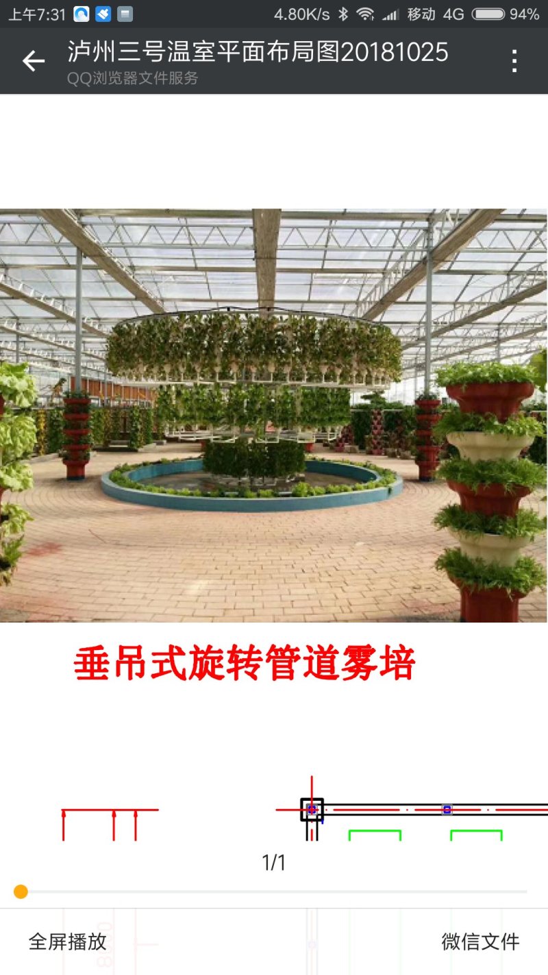 大棚设计
