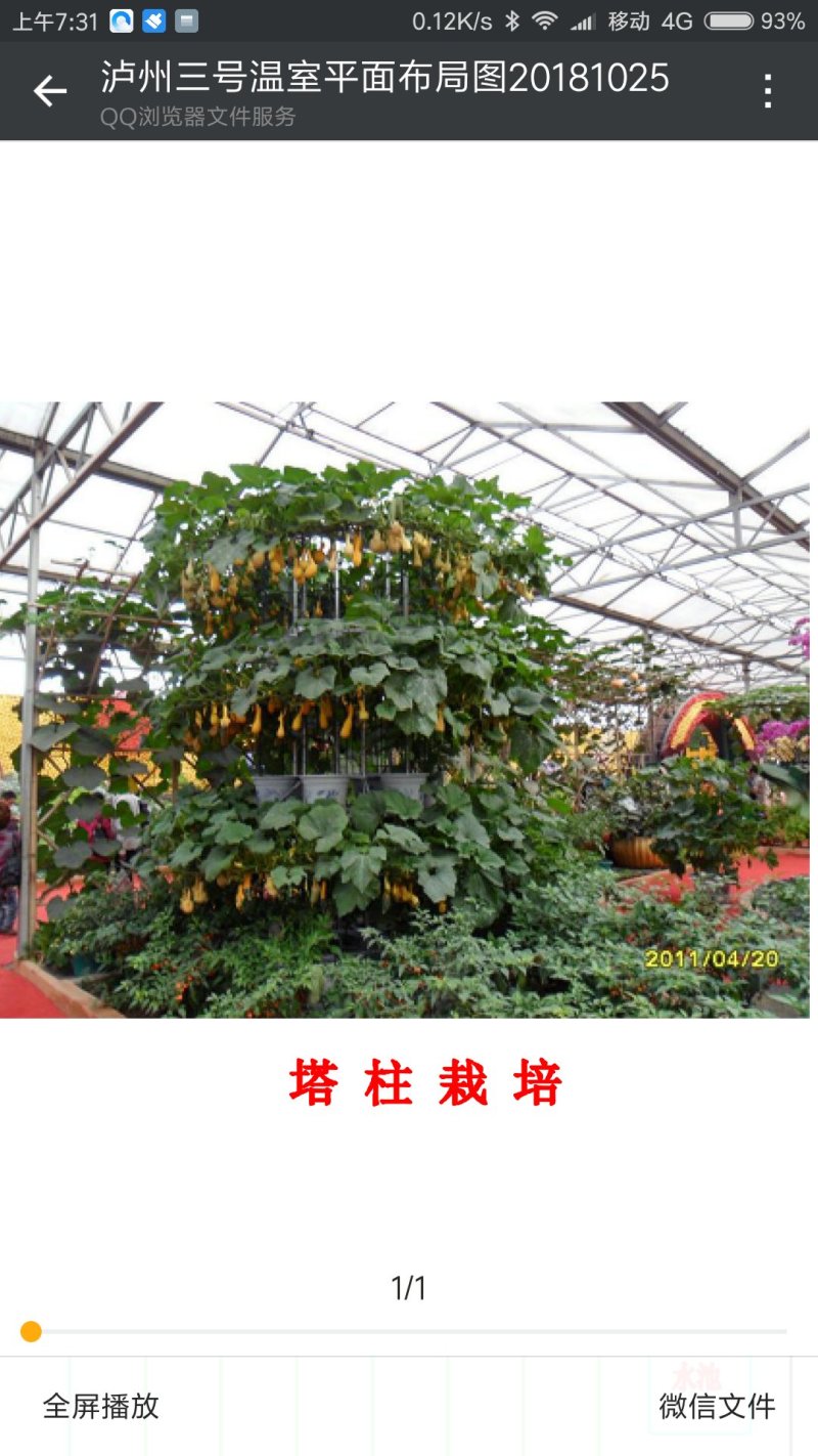 大棚设计