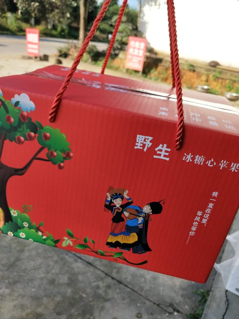 四川凉山苹果冰糖心新鲜水果包邮5斤大果