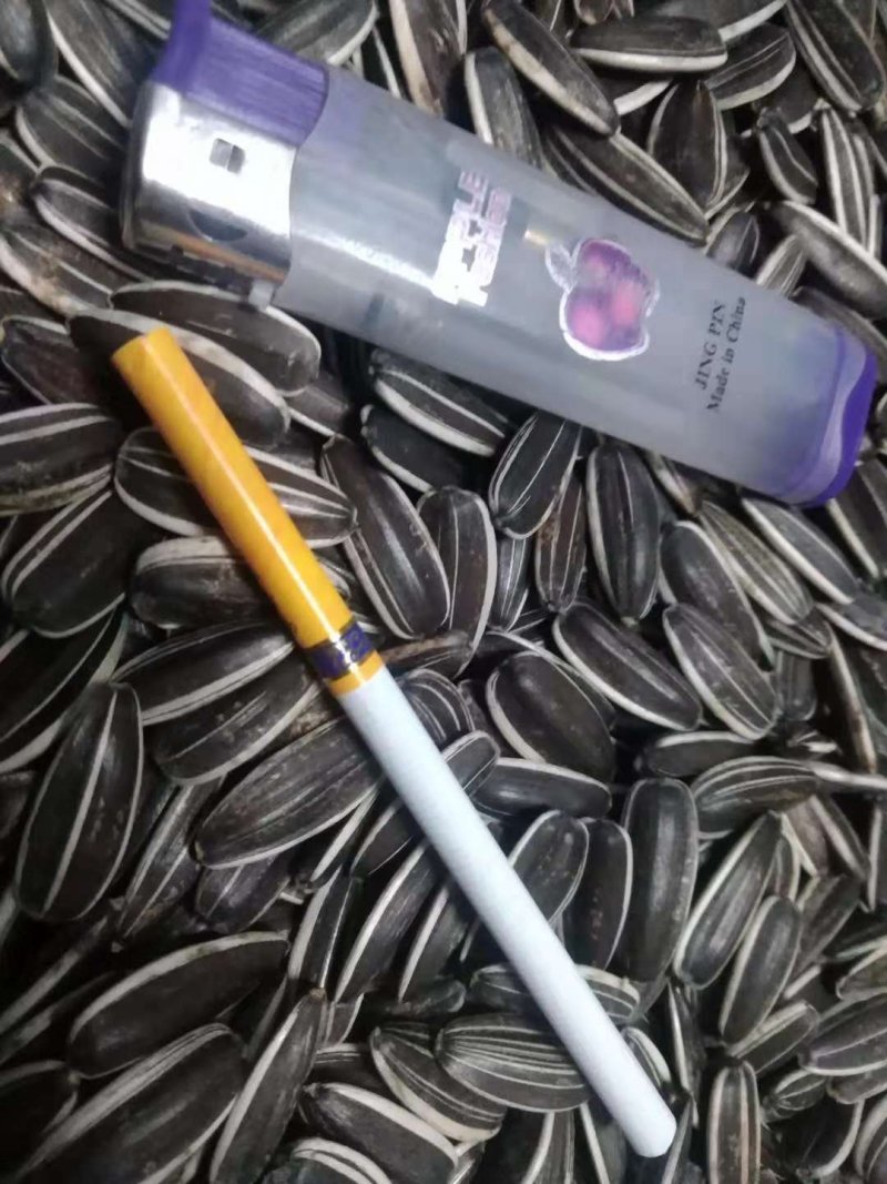 荷兰十五土豆葵花籽