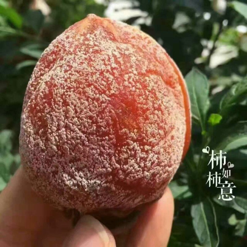 特极品富平柿饼高档礼盒，3斤100元，5斤150元