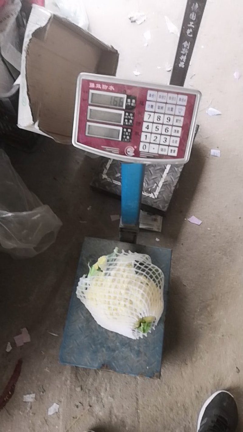 万亩花菜基地大量上市中