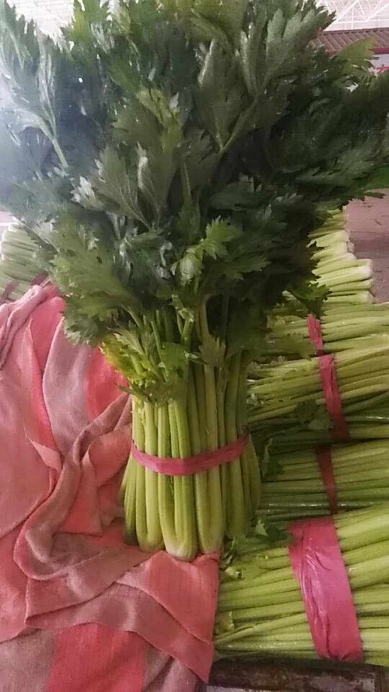 【芹菜】河北邯郸永年皇后芹菜大量上市产地直发量大价优