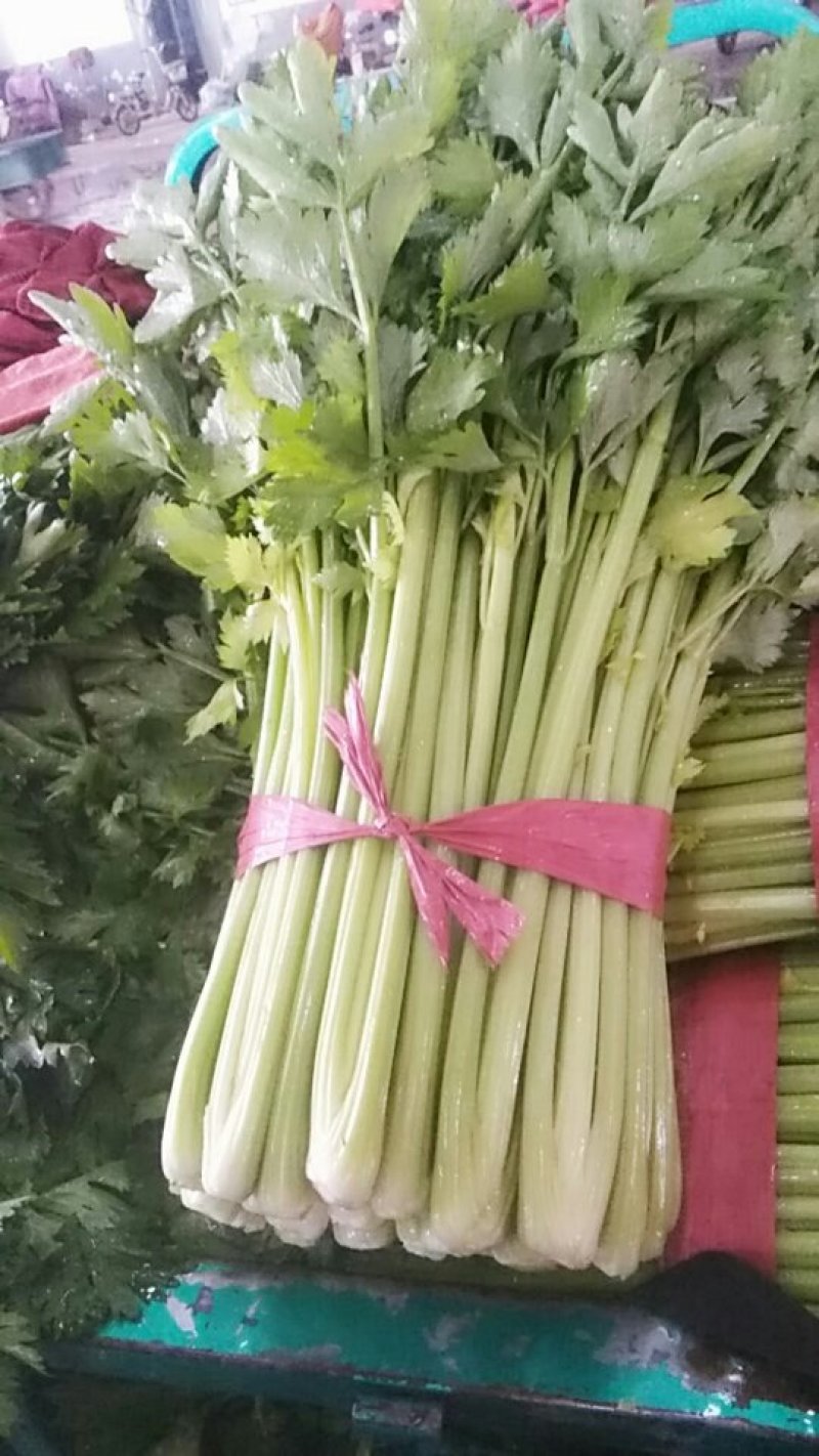 【芹菜】河北邯郸永年皇后芹菜大量上市产地直发量大价优