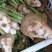 新鲜黄菜