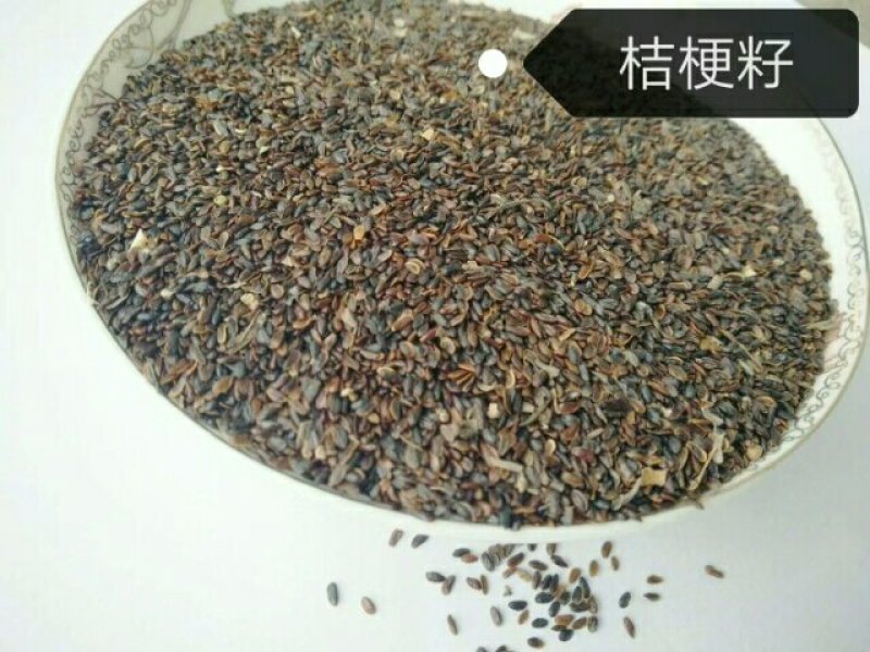 桔梗种子纯新桔梗种子免费技术指导成品回收