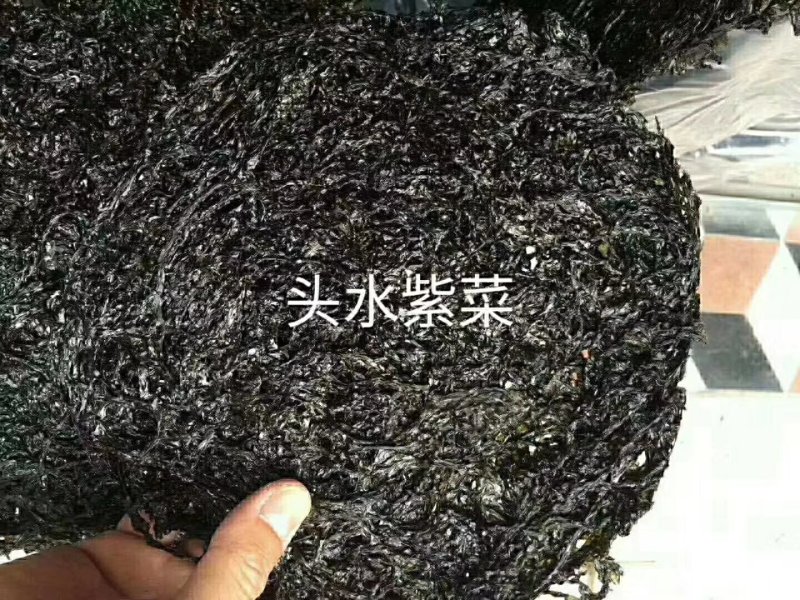 正宗六鳌头水紫菜