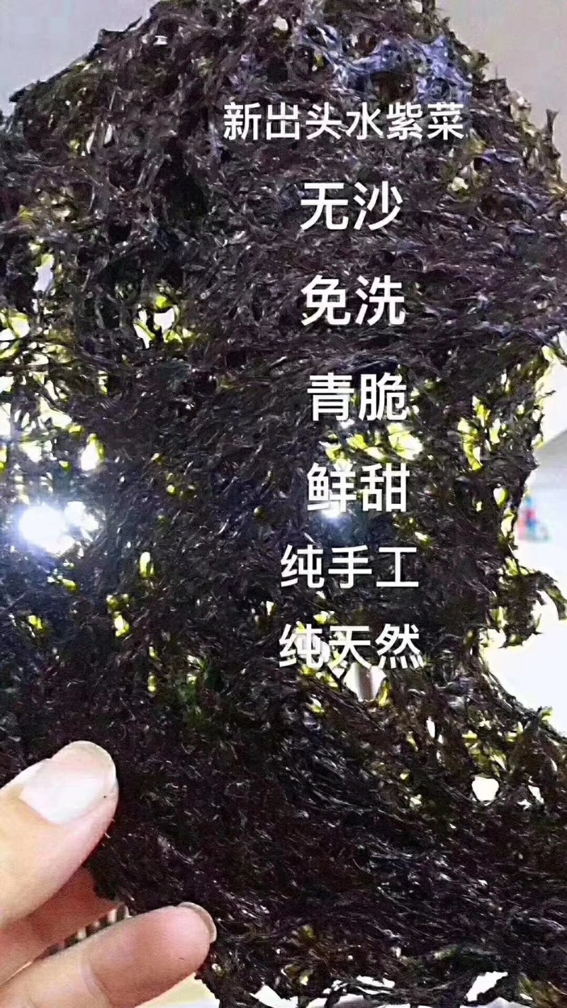 正宗六鳌头水紫菜