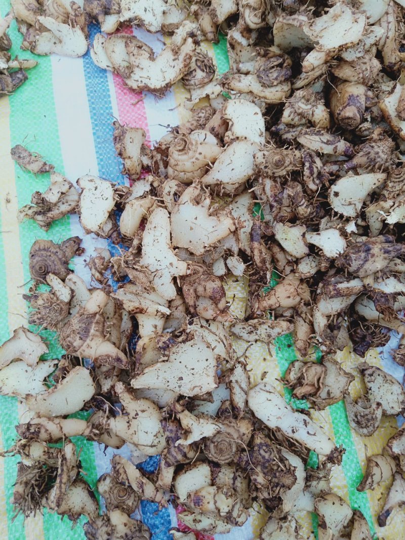 出售干白芨片