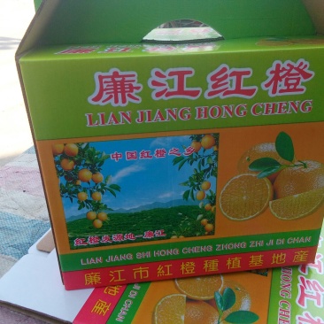 廉江红橙