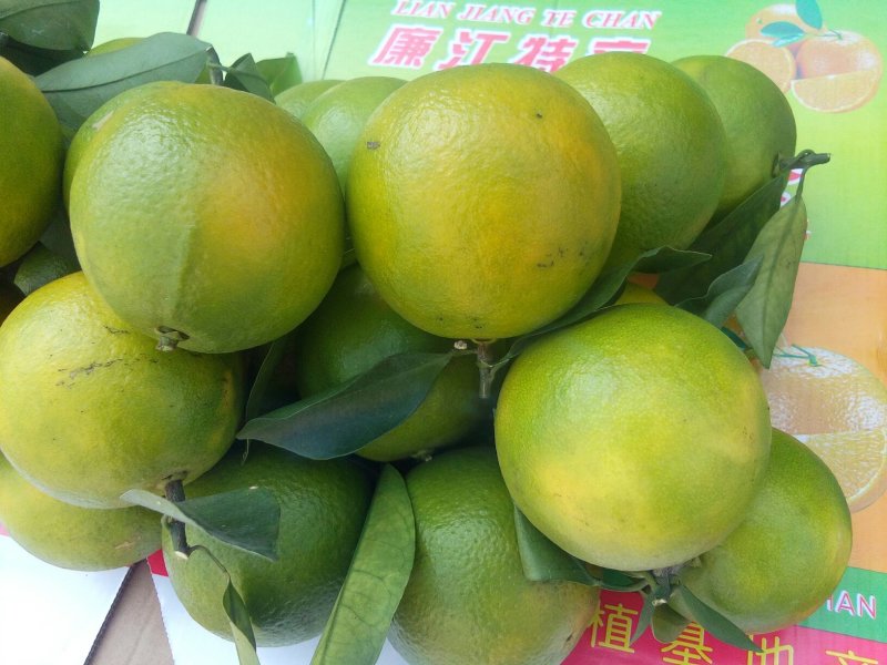 廉江红橙
